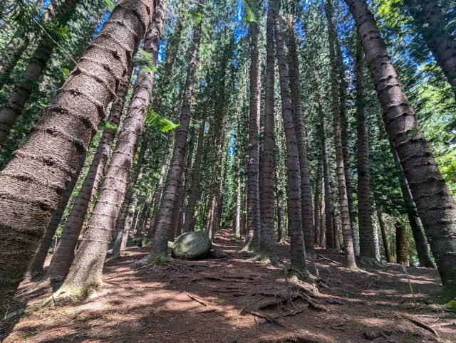 Sleeping Giant West Trailhead