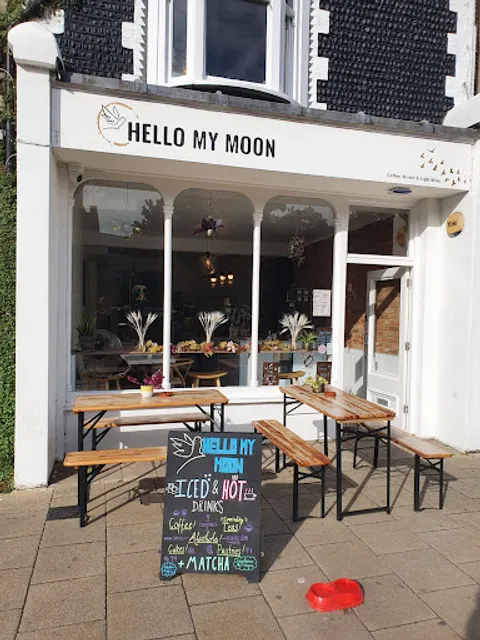 Hello My Moon