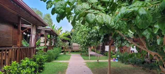 ADRASAN SİDERYA APART EVLERİ