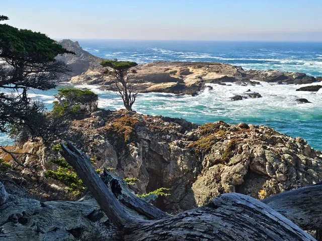 Cypress Cove Scenic View