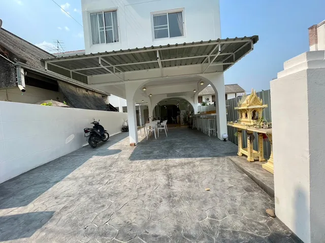 Cozy Owls Chiang Mai