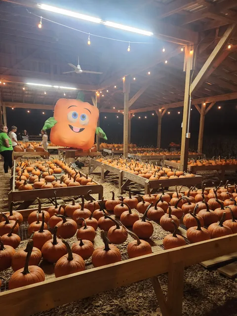 Country Days Corn Maze