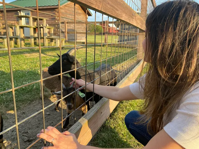 Der Dutchman Cruise-In