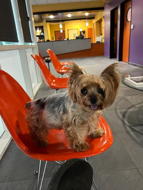 Greek and Associates Veterinary Hospital