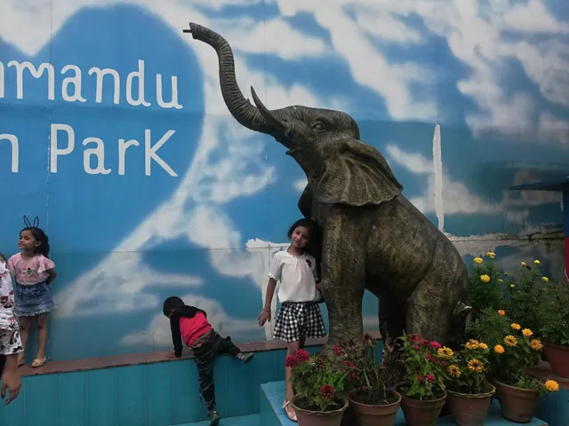 Children's Amusement Park