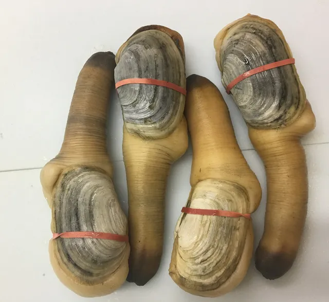 Neptune Seafood Inc.