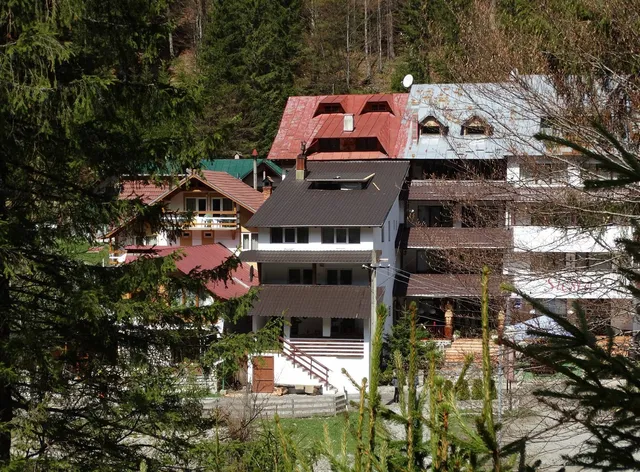Casa Flora Piscul Negru-Transfagarasan