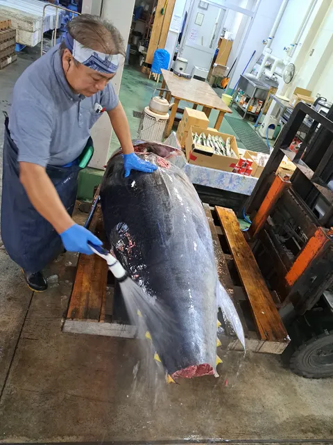 青森市中央卸売市場