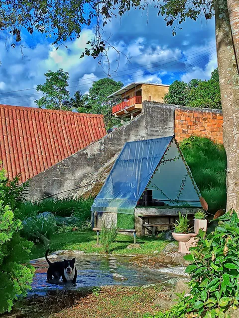 Hospedaje campestre las 3 palmas