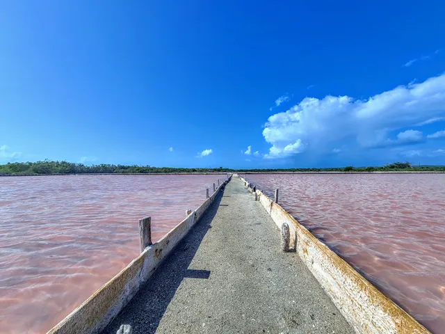 Centro Interpretativo Las Salinas