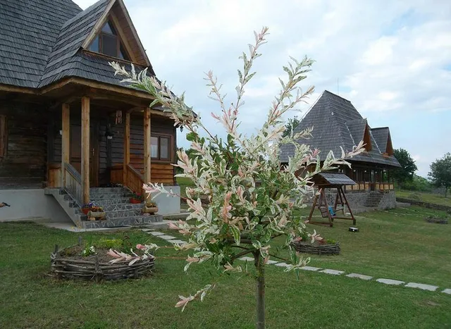 Casele de Vacanta Luca & Vicentiu