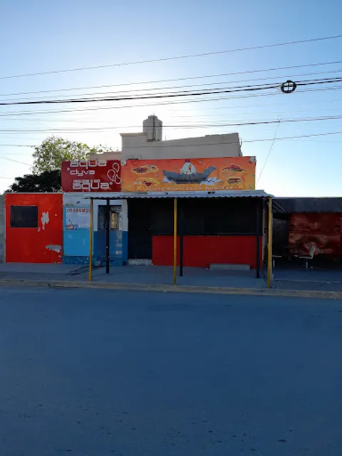 ANSA ALITAS Y BONELESS Suc Oriente