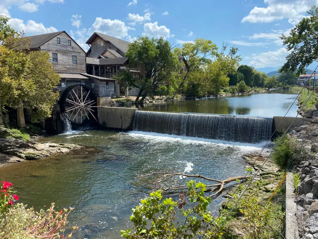 Que’s catering and backyard Barbecue