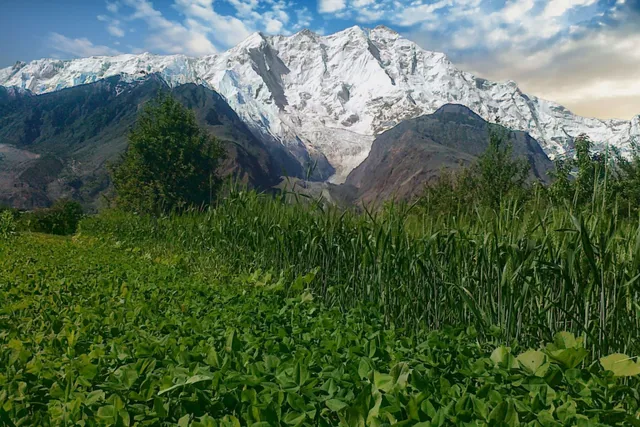 Rakaposhi View Point Nasir abad Hunza