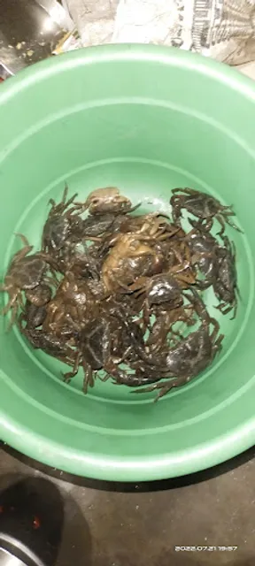 Mahalkshmi Bar And Restaurant