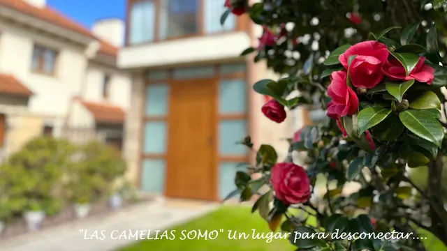 CASA LAS CAMELIAS SOMO