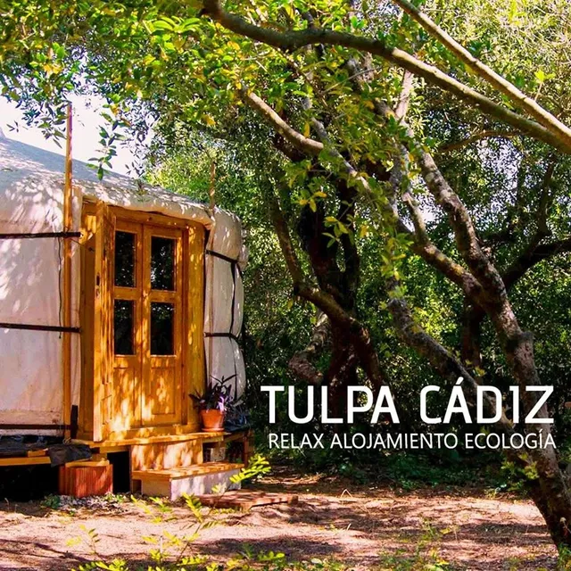 Tulpa Cádiz