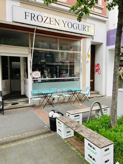 Shiyogu Frozen Yogurt