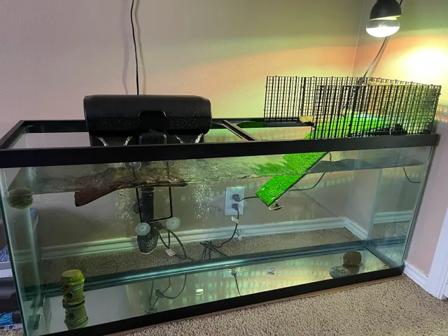 Pet Supplies Plus Sienna