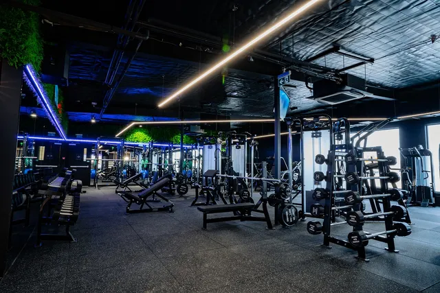 Flex Fitness Point Chevalier - 24hr / 7day Gym