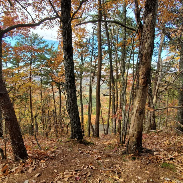 Little Greenbrier and Roundtop Trailhead