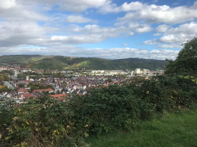 Aussichtsbank im Spittelberg