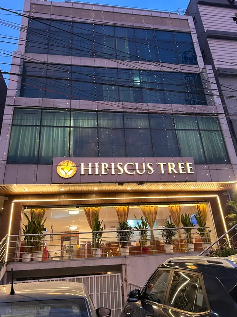 HOTEL HIBISCUS TREE