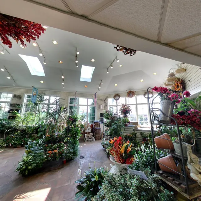 Penny's by Plaza Flowers