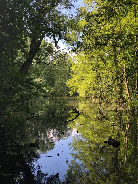 Lührmannwald