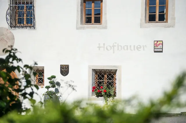 Hofbauer