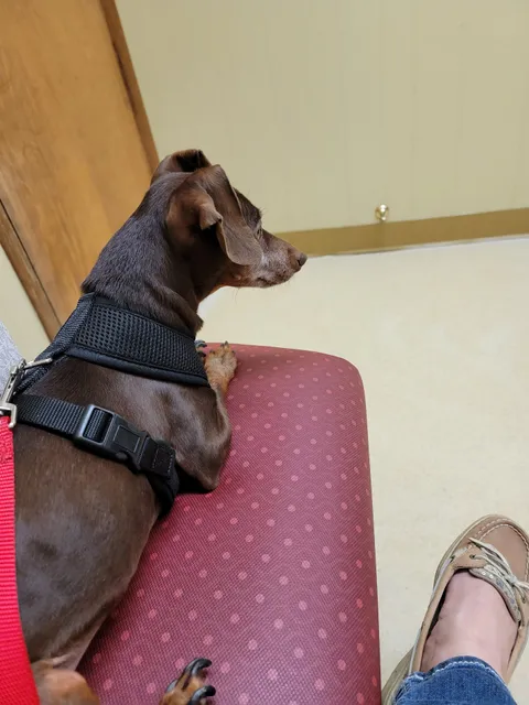 Greens Fork Animal Hospital