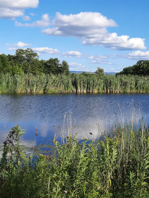 Potomac Group Campground