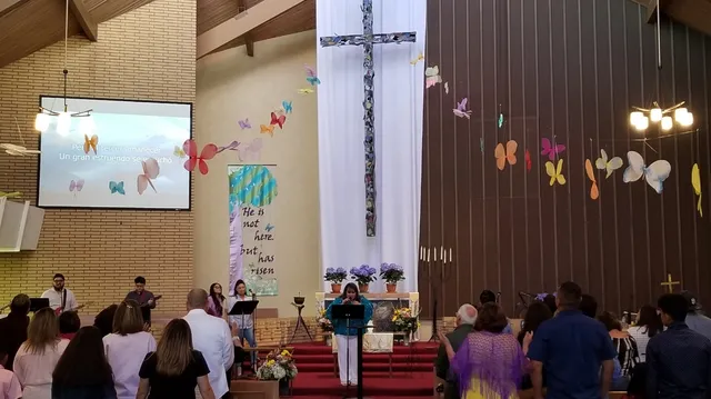 La Viña del Valle Imperial / Imperial Valley Vineyard