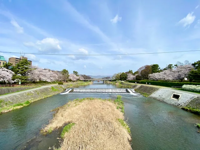 Kamogawa Delta