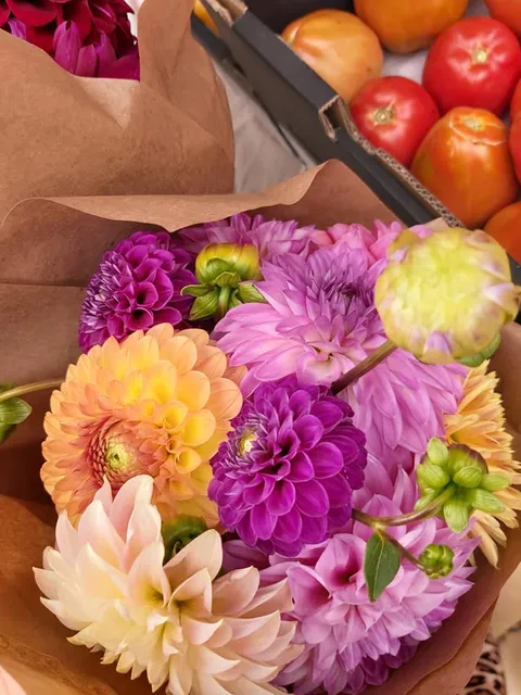 Granite Belt Farmers Market, Stanthorpe