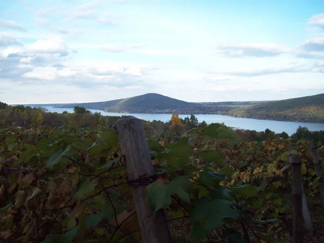 Arbor Hill Grapery & Winery