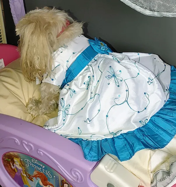 Double Take Consignment