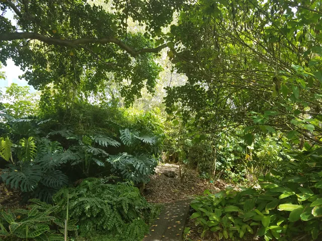 University of Hawaii Urban Garden Center