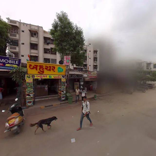 Ashapura Parotha House