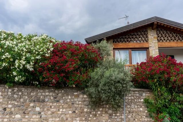 B&B Borgo Margherita