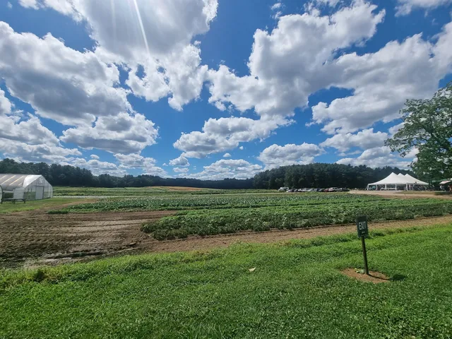 Tangerini's Spring Street Farm