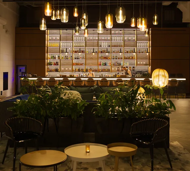 Patio & Tulipe - Cocktail Bar & Restaurant