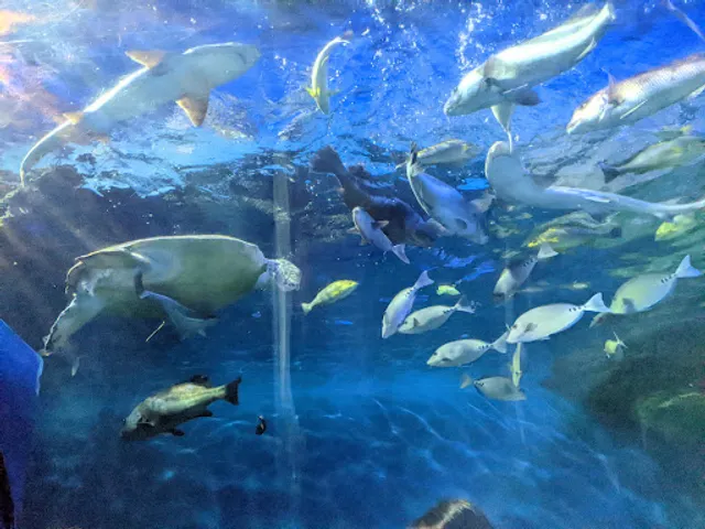 Shinagawa Aquarium Pier