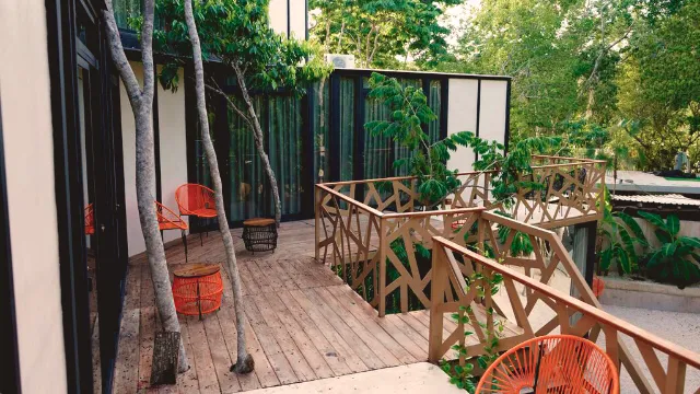 Bufo Alvarius Sanctuary