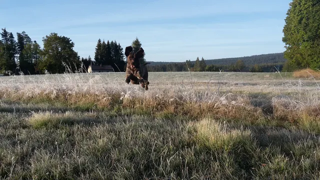 Ferienwohnungen Fröhlich