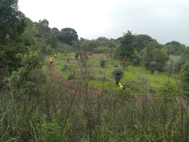 Tepeximilpa Community Center Expansion