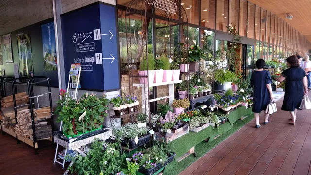 Karuizawa Hotchi Ichiba Community Farmer's Market