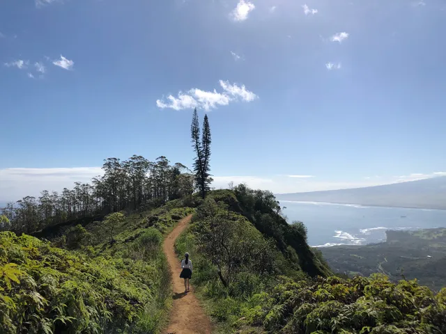 Waikamoi Nature Trailhead and Parking Area