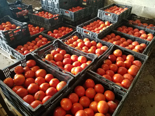 Summer Wind Farms, LLC