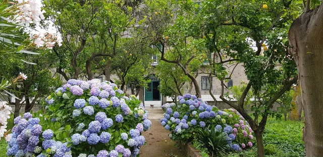 Villa Tozzoli House - CIN IT063080B4VEQWN968 - CUSR 15063080EXT1055